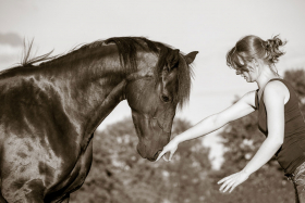 Reiterin mit ihrem Pferd