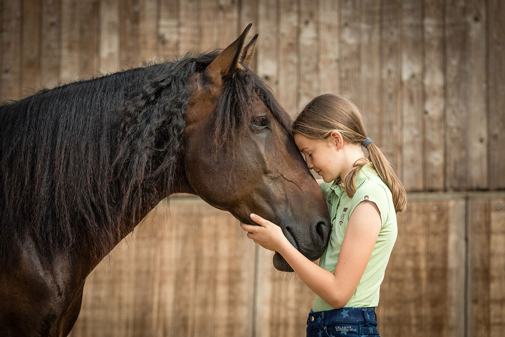 Mädchen mit Pferd vertraut -  Kopf an Kopf